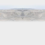 AMT-background