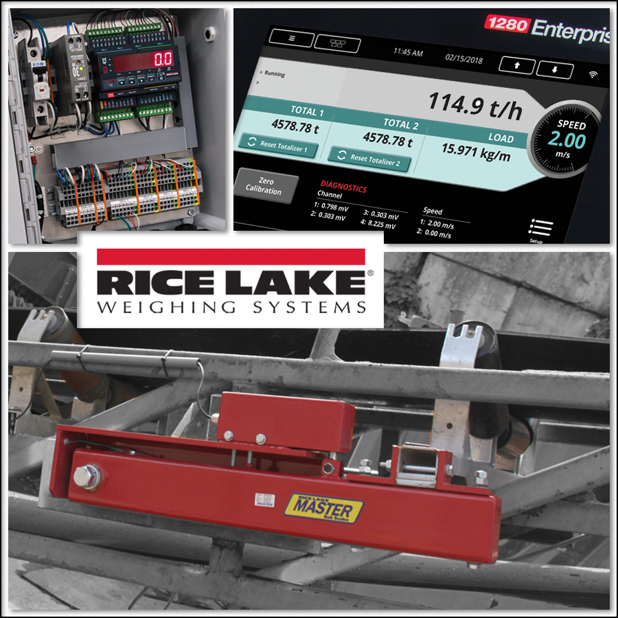 Rice Lake Bulk Weighing Solutions